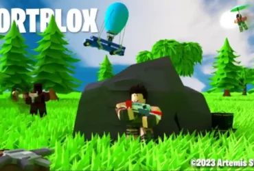 Fortblox Codes