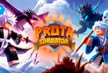 Prota Simulator Codes