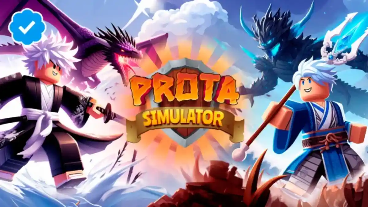 Prota Simulator Codes