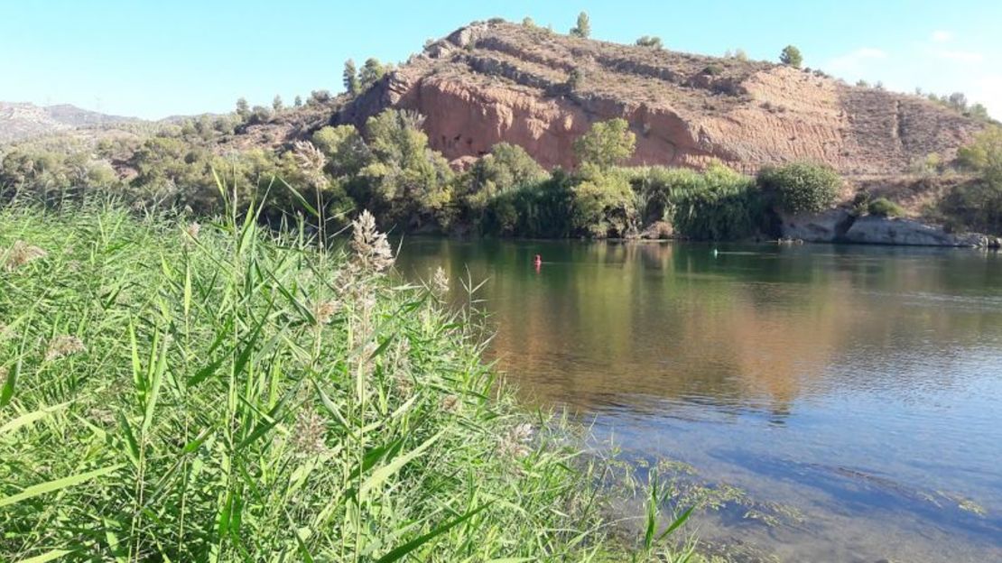 The couple moved to Spain in 2018 and ended up living in a town along the Ebro River in Catalonia.