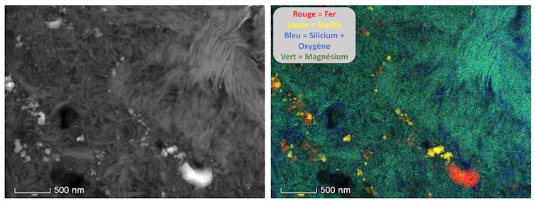 Observation of a Ryugu grain using a transmission electron microscope: morphology and chemical composition