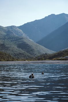 the sea, Corsica and divers